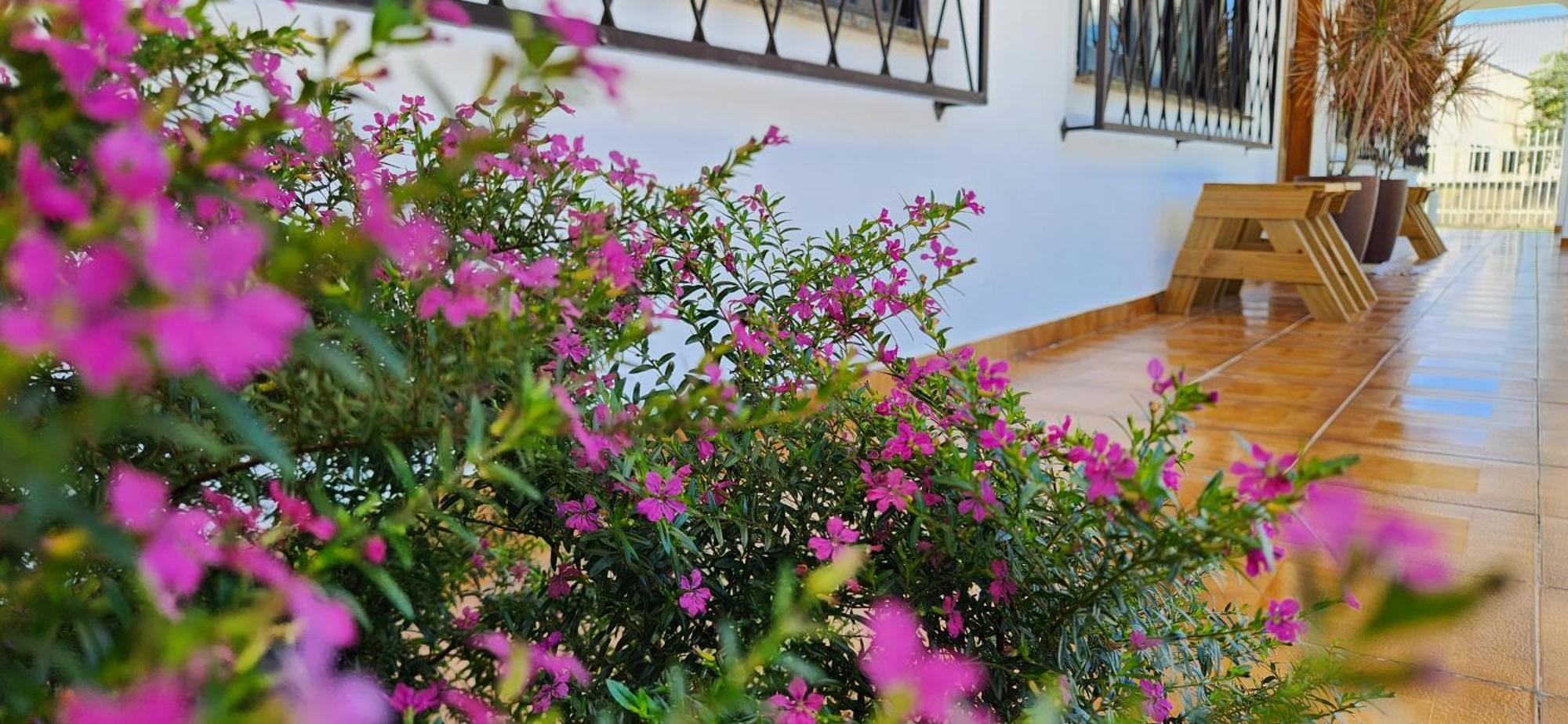 Apartamento Casa Hoffmann Pomerode Esterno foto