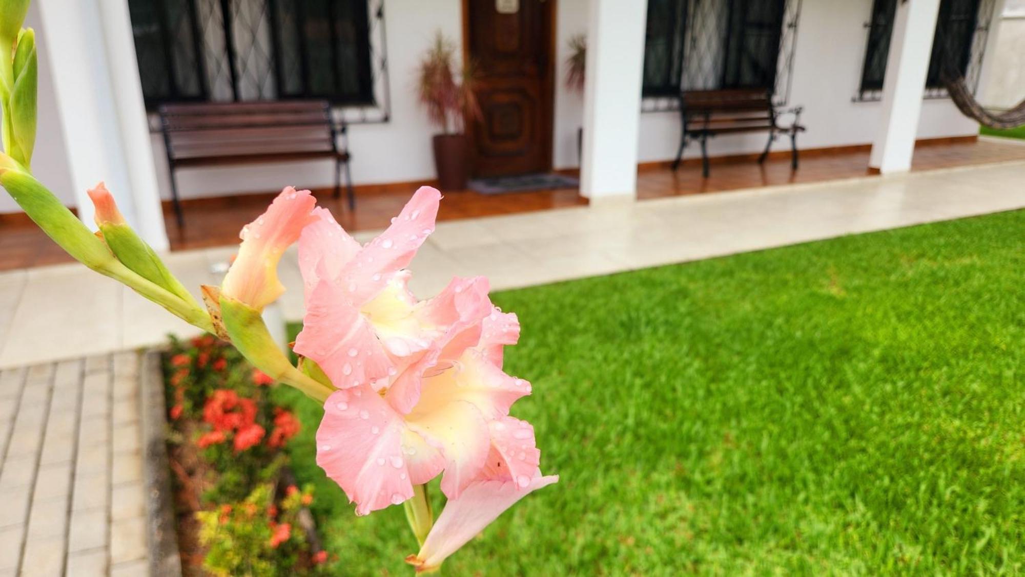 Apartamento Casa Hoffmann Pomerode Esterno foto